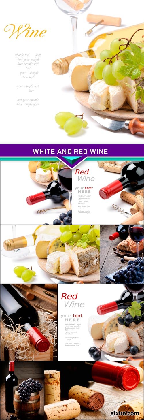 White and red wine with French cheese selection 9x JPEG