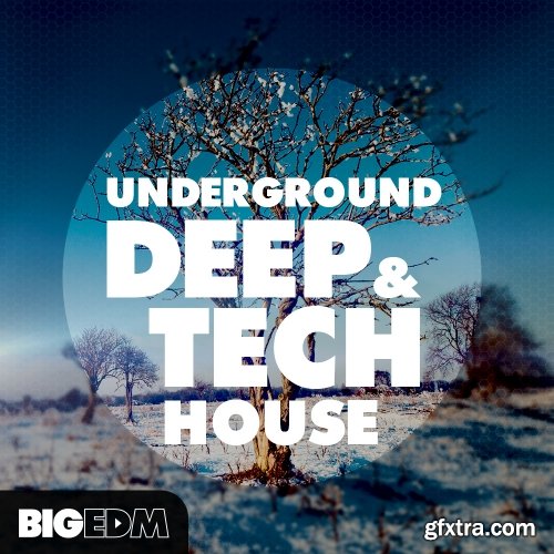 Big EDM Underground Deep and Tech House WAV MiDi Sylenth1 SPiRE FLPs FM8 TUTORiAL-FANTASTiC