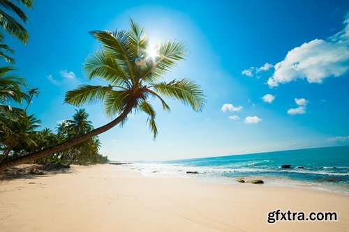 Sri Lanka Collection landscape of the world sea beach sunset palm boat 25 HQ Jpeg