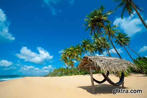 Sri Lanka Collection landscape of the world sea beach sunset palm boat 25 HQ Jpeg