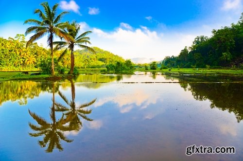 Sri Lanka Collection landscape of the world sea beach sunset palm boat 25 HQ Jpeg