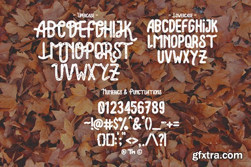 CreativeMarket Lonsdale Typeface 487793