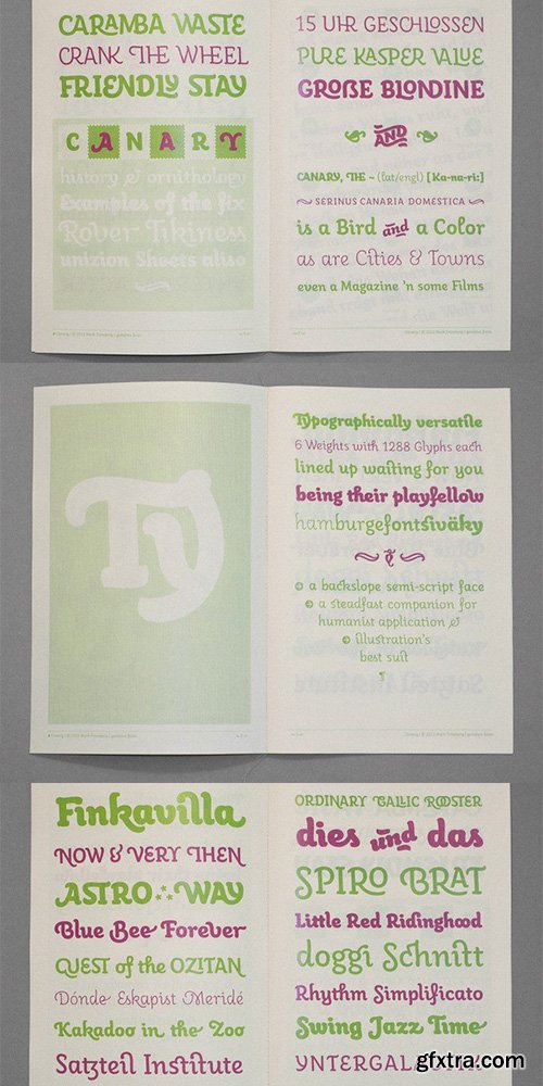 Canary Font Family €240