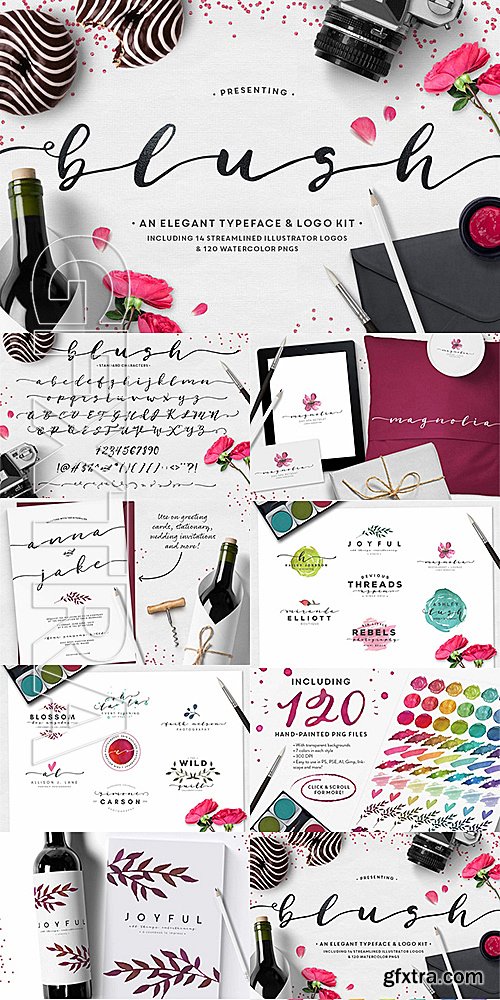 CM - Blush Typeface + Logo Kit 470485