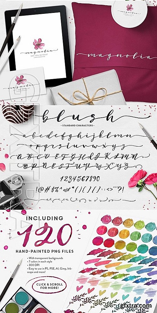 CM - Blush Typeface + Logo Kit 470485