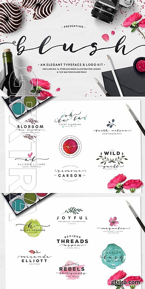 CM - Blush Typeface + Logo Kit 470485