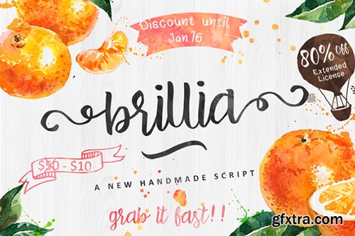 Creativemarket Brillia Script Font 491702