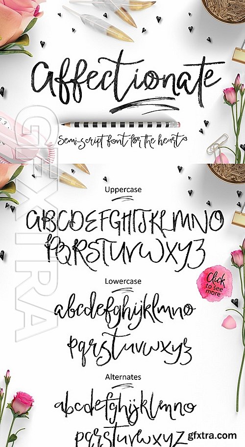 CM - Affectionate Brush Script Font 491650