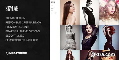 ThemeForest - Skylab v2.0.8 - Portfolio / Photography WordPress Theme - 4740718