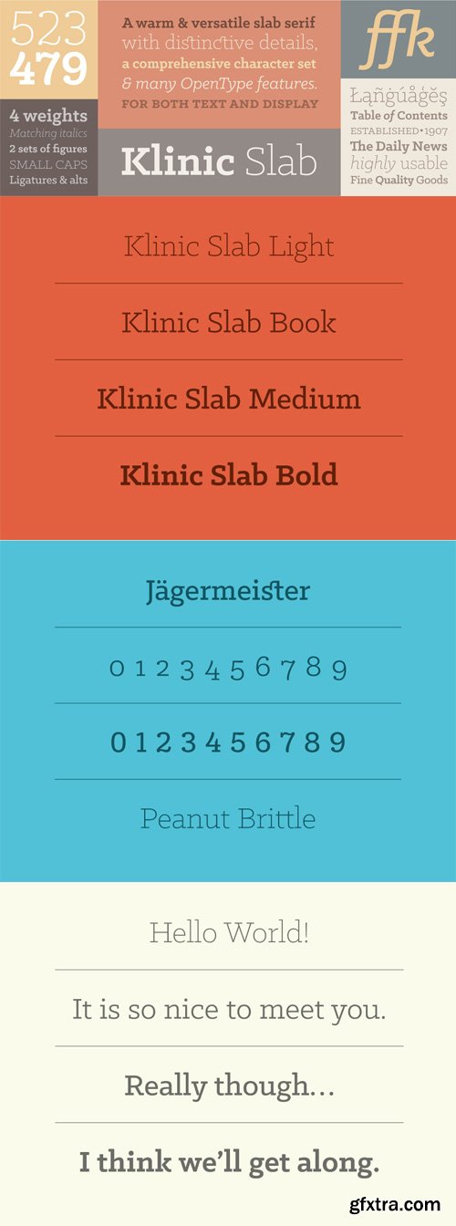 Klinic Slab Font Family $45