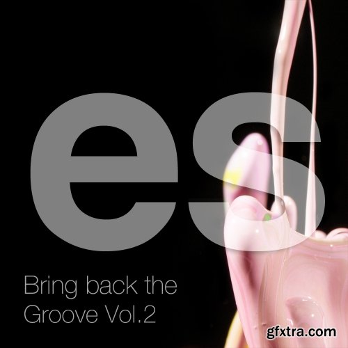 Engineering Samples Bring back the Groove Vol.2 WAV MiDi-FANTASTiC