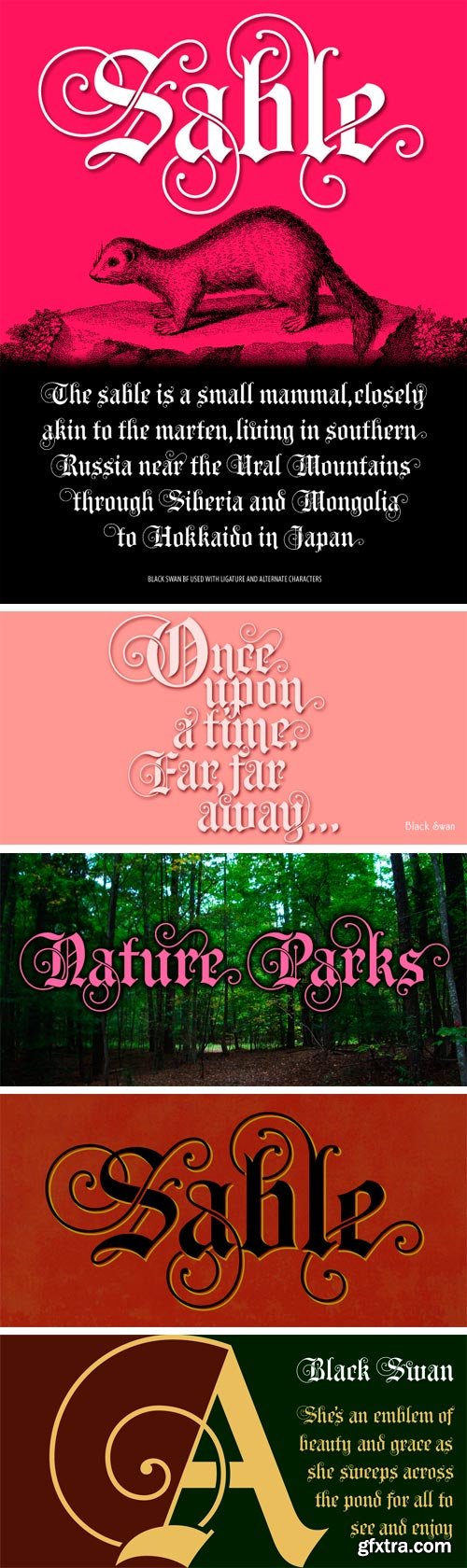 Black Swan BF Font Family