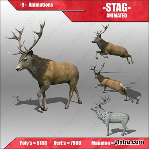 Stag Animated 3D model