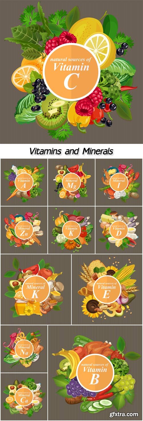 Groups of healthy fruit, vegetables, meat, fish and dairy products containing specific vitamins