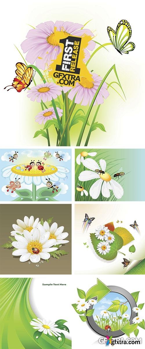 Stock: Background with daisies with small insects