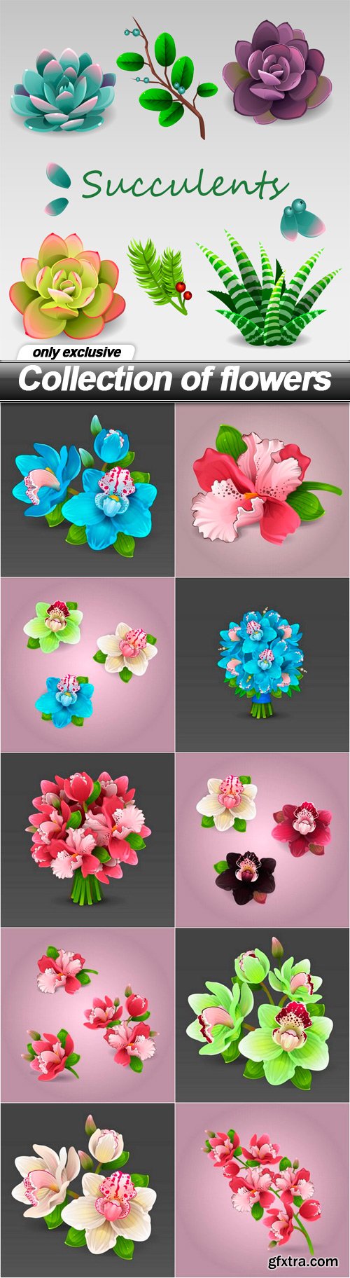 Collection of flowers -