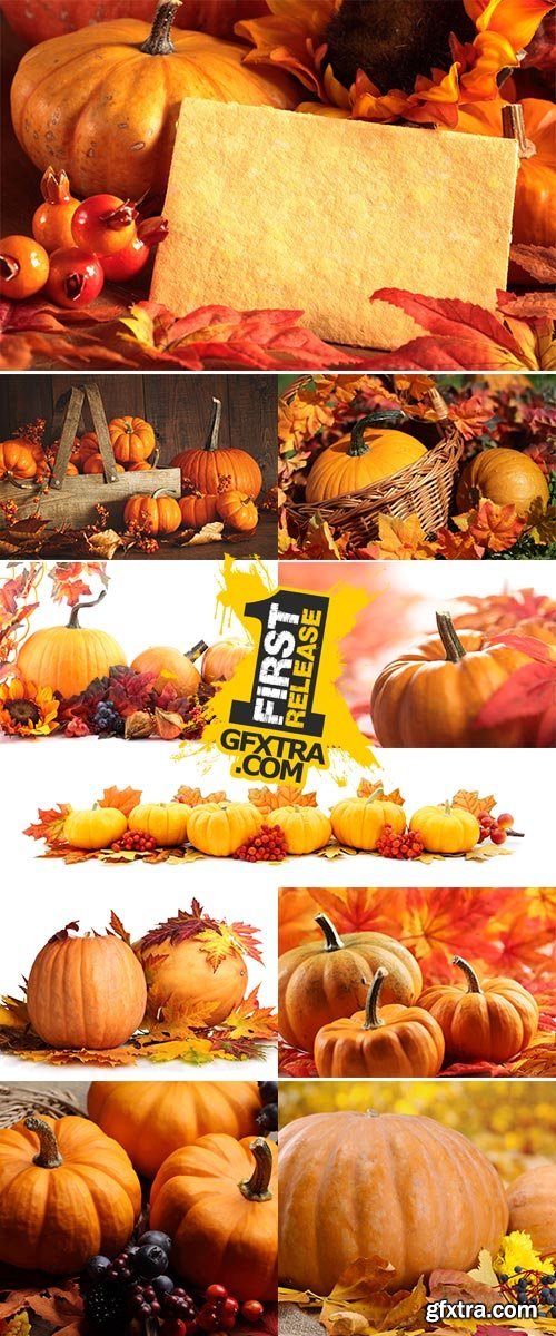 Stock Photo: Close-up of pumpkins and colorful leaves background