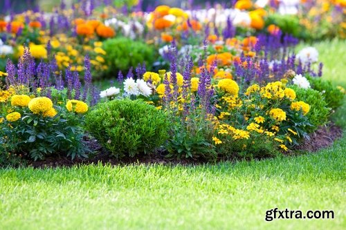 Collection of yellow flower field garden 25 HQ Jpeg