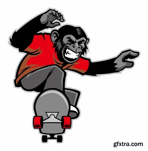 Collection of skateboard vector picture drawing for T-shirts 25 EPS