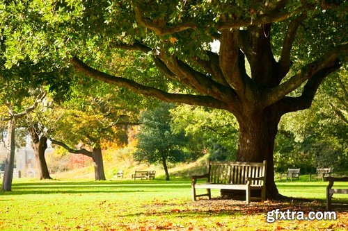 Collection nature park bench a little shop landscape 25 HQ Jpeg