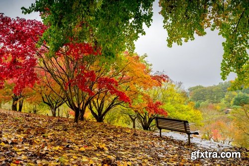 Collection nature park bench a little shop landscape 25 HQ Jpeg