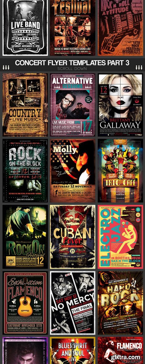 CM - 74 Live and Concerts Flyers Bundle 502569