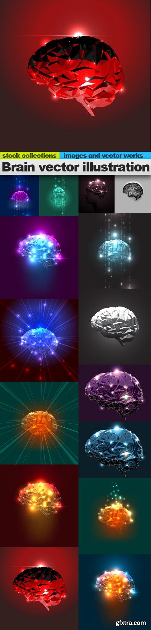 Brain vector illustration, 15 x EPS