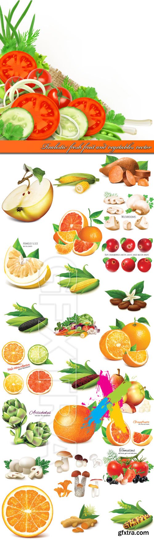 Realistic fresh fruit and vegetables vector