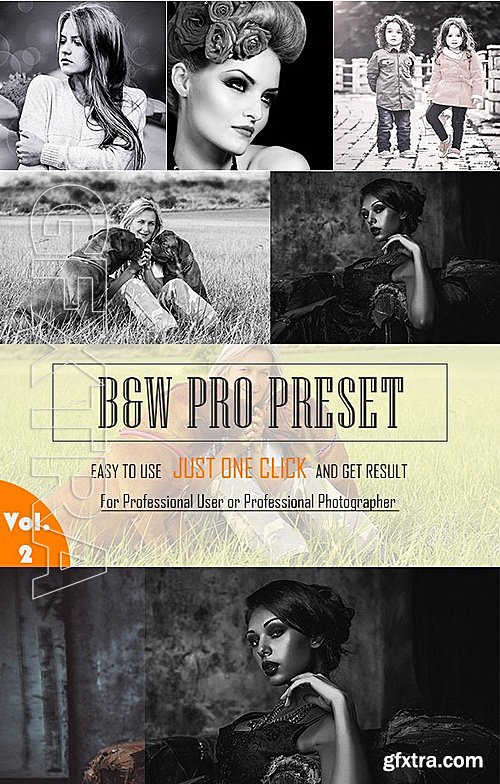 GraphicRiver - Simple B & W Lightroom Preset 12703725