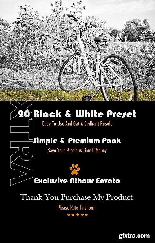 GraphicRiver - Simple B & W Lightroom Preset 12703725