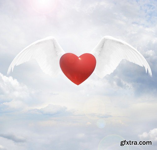 Heart with wings 1