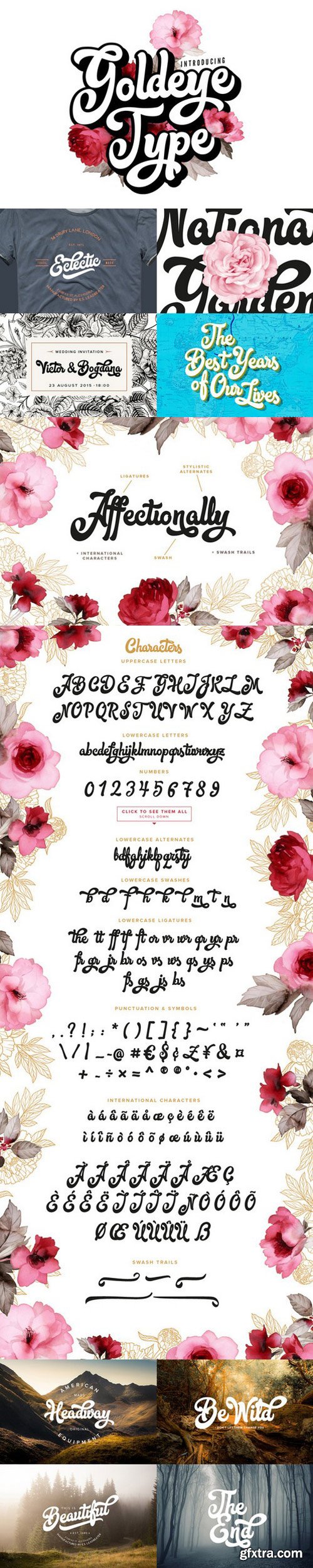 CM - Goldeye Type Script Font 506439