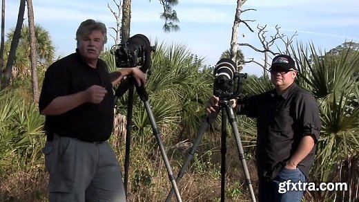 KelbyOne - Photographing Florida Birds