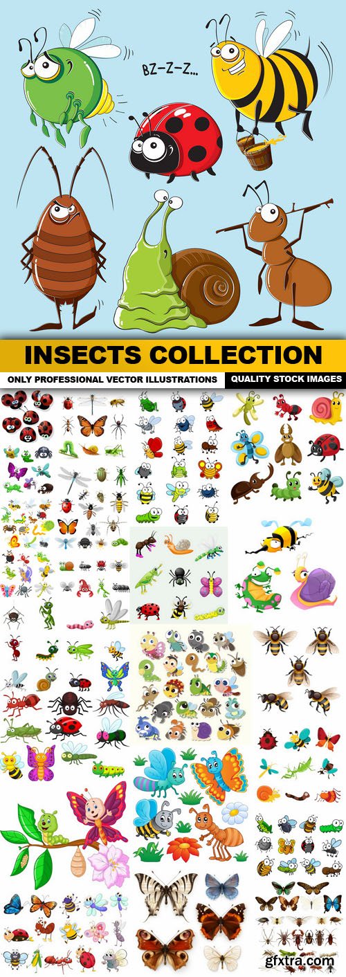 Insects Collection - 25 Vector