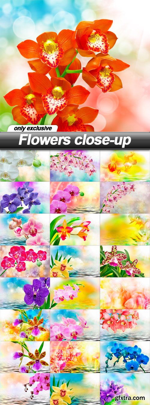 Flowers close-up - 25 UHQ JPEG