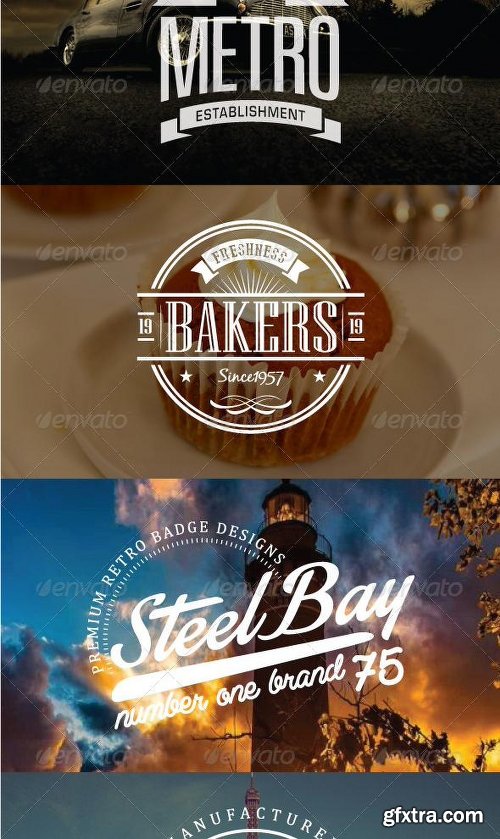 Graphicriver Modern Badges and Labels 7827881