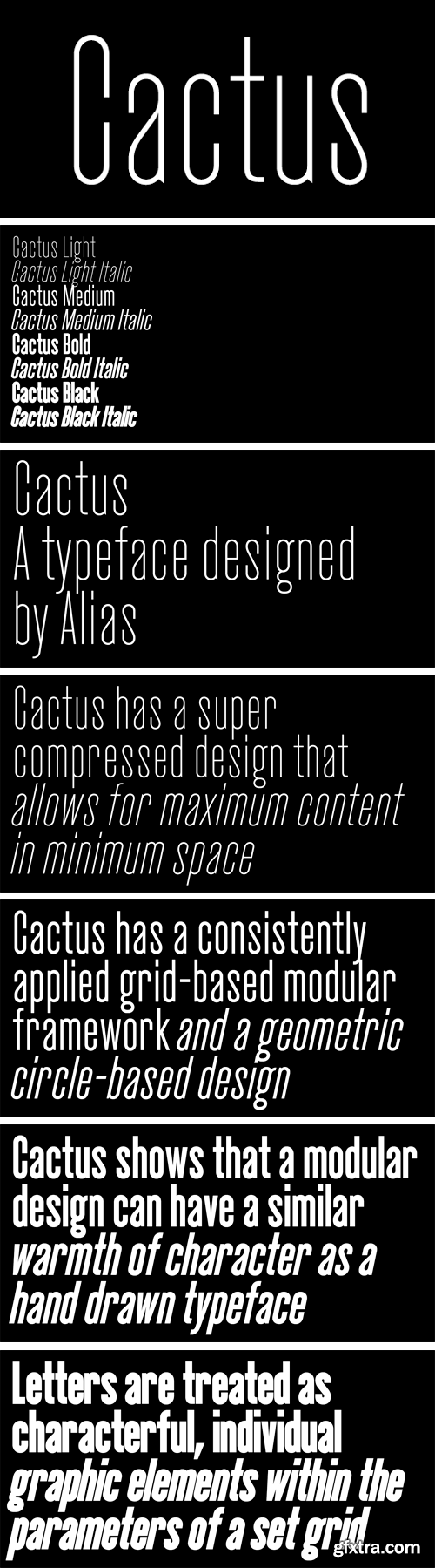 Cactus Font Family