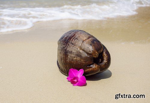 Orchid on the sand