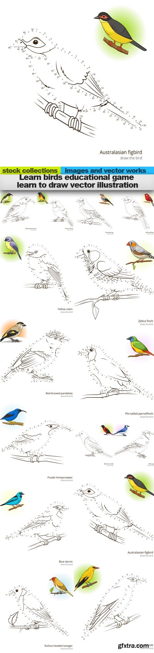 Learn birds educational game learn to draw vector illustration, 15 x EPS