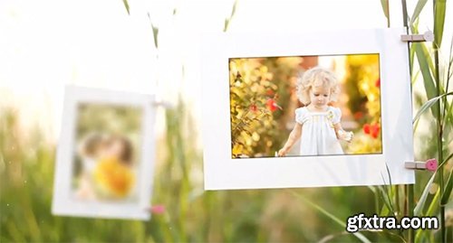 Videohive Album Love 7019651