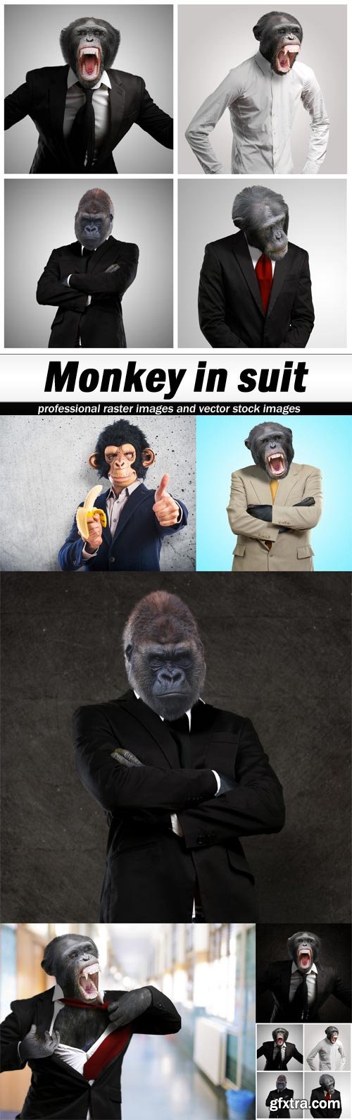 Monkey in suit