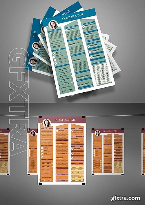 CM - Professional Resume CV 3 Colors 509827