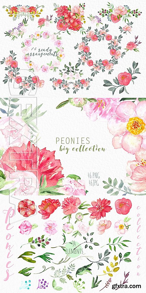 CM - Peonies Big Collection Clip Art 509467