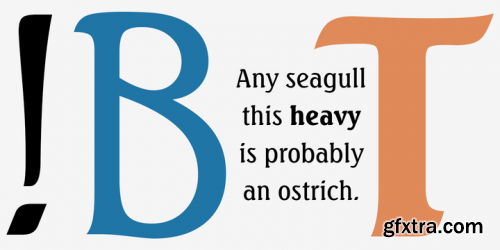 Seagull Font Family