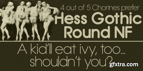 Hess Gothic Round NF Font Family