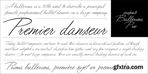 Ballerina Pro Font Family