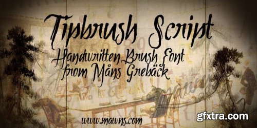 Tipbrush Script Font Family