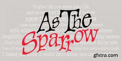 P22 Sparrow Font