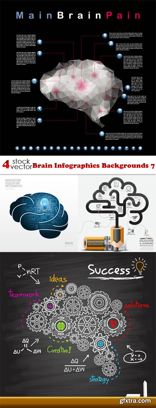 Vectors - Brain Infographics Backgrounds 7