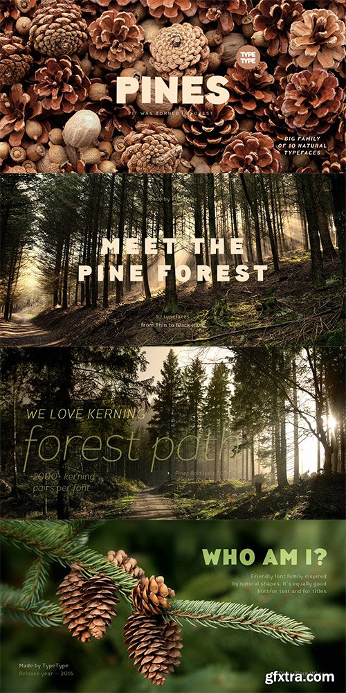 TT Pines Font Family 10 Fonts $200